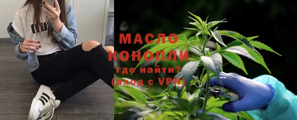индика Бронницы