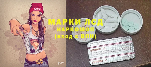 apvp Богородицк