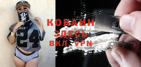 apvp Богородицк