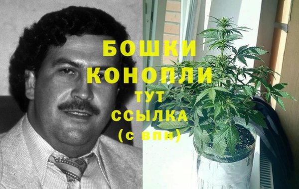 apvp Богородицк