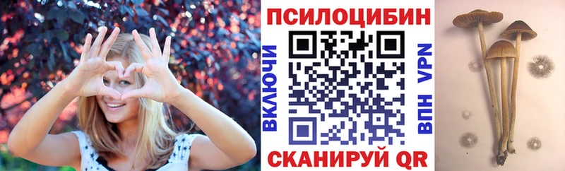 мега зеркало Улан-Удэ Галлюциногенные грибы Cubensis